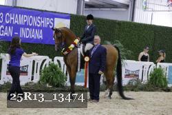25R13_13474 thumbnail