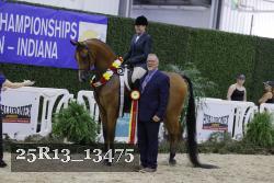 25R13_13475 thumbnail