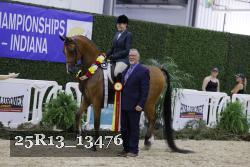 25R13_13476 thumbnail