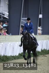25R13_13481 thumbnail
