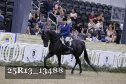 25R13_13488 thumbnail