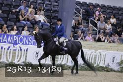 25R13_13489 thumbnail