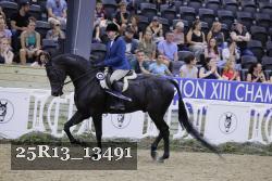 25R13_13491 thumbnail