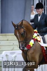 25R13_13492 thumbnail