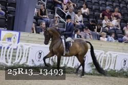 25R13_13493 thumbnail