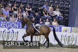 25R13_13494 thumbnail