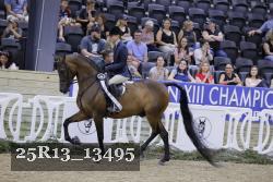 25R13_13495 thumbnail
