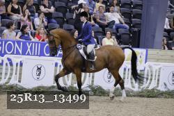 25R13_13499 thumbnail