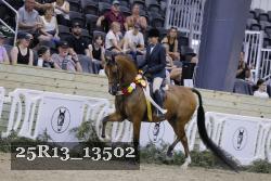 25R13_13502 thumbnail