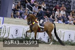 25R13_13503 thumbnail