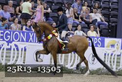 25R13_13505 thumbnail