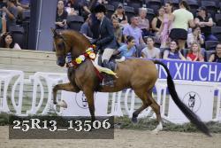 25R13_13506 thumbnail