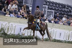 25R13_13508 thumbnail