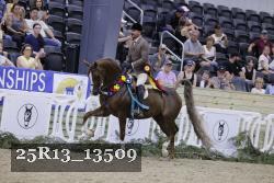 25R13_13509 thumbnail