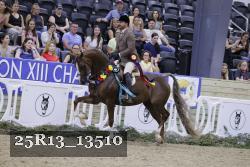 25R13_13510 thumbnail