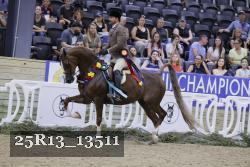 25R13_13511 thumbnail