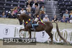 25R13_13512 thumbnail