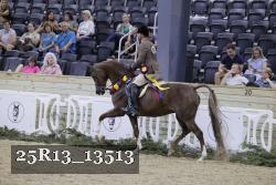 25R13_13513 thumbnail