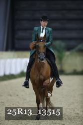 25R13_13515 thumbnail