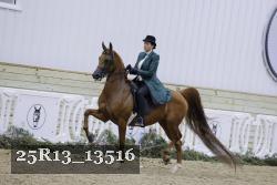 25R13_13516 thumbnail