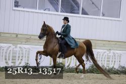 25R13_13517 thumbnail
