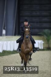 25R13_13519 thumbnail