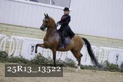 25R13_13522 thumbnail