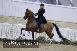 25R13_13523 thumbnail
