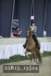 25R13_13524 thumbnail