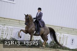 25R13_13525 thumbnail