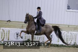 25R13_13527 thumbnail