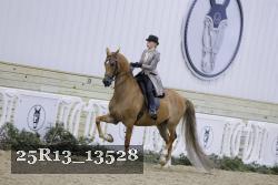 25R13_13528 thumbnail