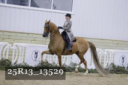 25R13_13529 thumbnail