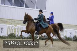 25R13_13532 thumbnail