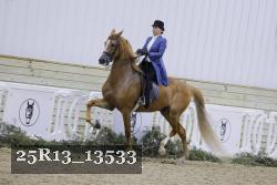 25R13_13533 thumbnail
