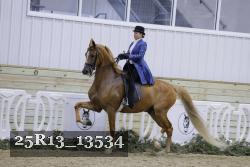 25R13_13534 thumbnail