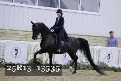 25R13_13535 thumbnail
