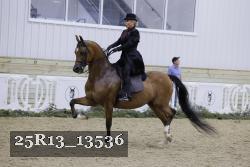 25R13_13536 thumbnail