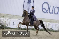 25R13_13537 thumbnail
