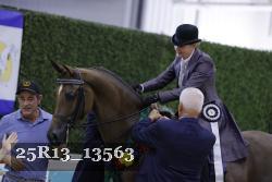 25R13_13563 thumbnail