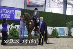 25R13_13565 thumbnail