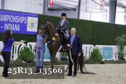 25R13_13566 thumbnail