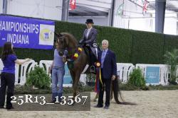 25R13_13567 thumbnail