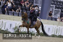 25R13_13574 thumbnail
