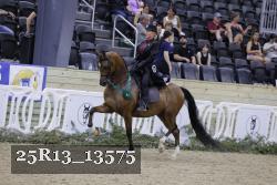 25R13_13575 thumbnail