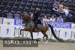 25R13_13576 thumbnail