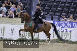 25R13_13577 thumbnail