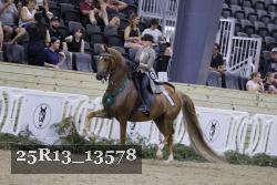 25R13_13578 thumbnail