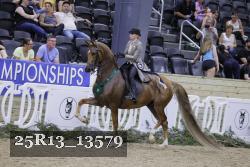 25R13_13579 thumbnail