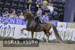 25R13_13580 thumbnail